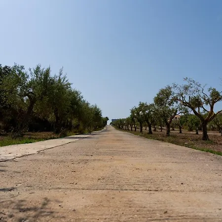 L'uliveto Marzamemi