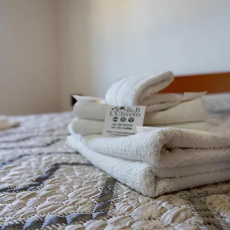 Bed & Breakfast L'uliveto